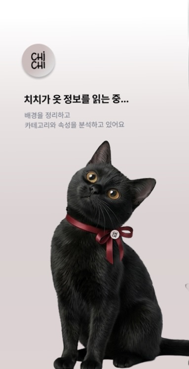 치치 AI 분석 화면